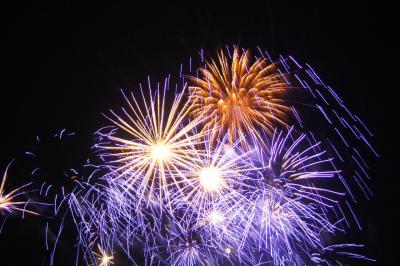 LA FLOTTE EN RÉ 2010 à 2012